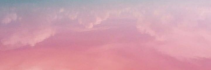 Novocaline's profile banner image