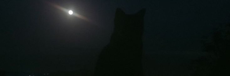 juseou's profile banner image