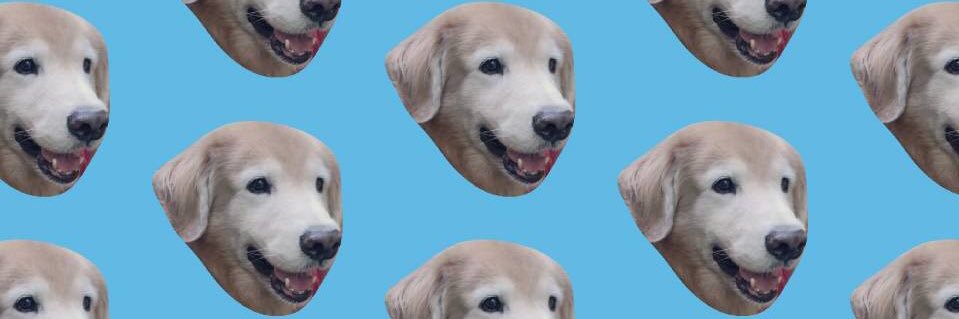 StopNaphon's profile banner image