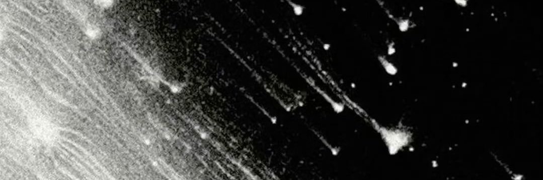 Aioiko🇰🇿(comms closed) banner