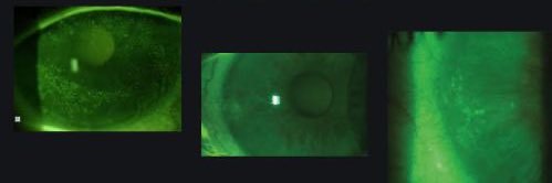 megfaunae's profile banner image