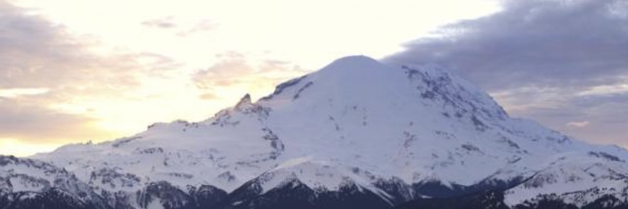 Stephanie H banner