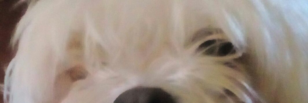 marsil5's profile banner image