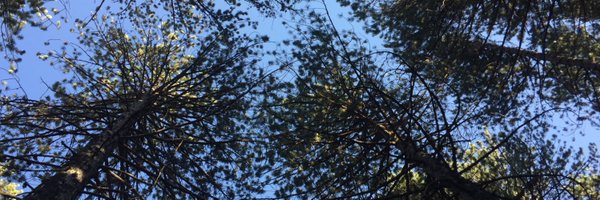 AndAnd73 Profile Banner