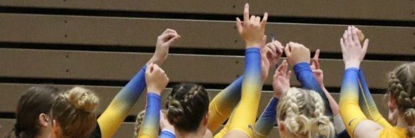 LakeStateVB Profile Banner