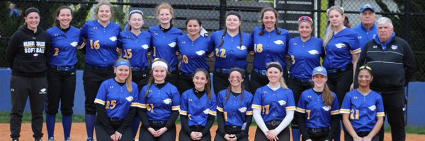 HilbertSoftball Profile Banner