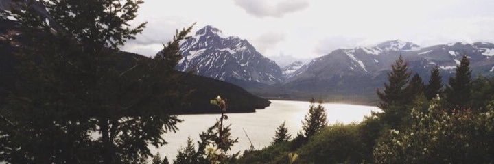 Dani🌷 banner
