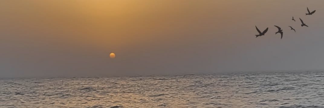 OON7_'s profile banner image
