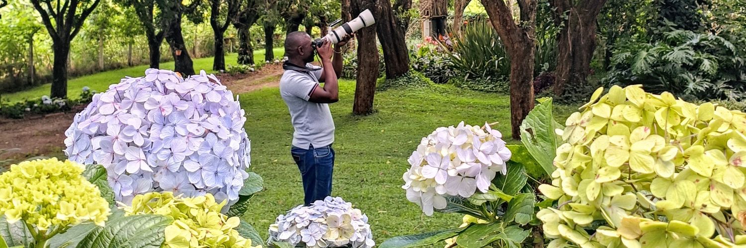 Kenyanbirder's banner