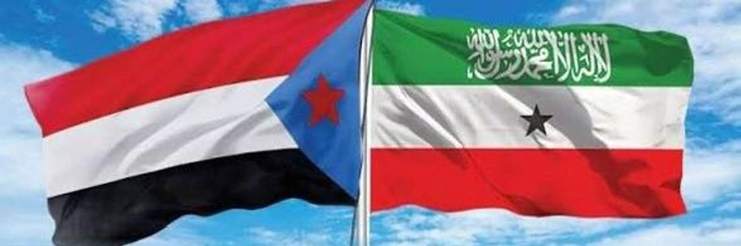 TrulyLander לנדר אמיתי 🇦🇪 banner