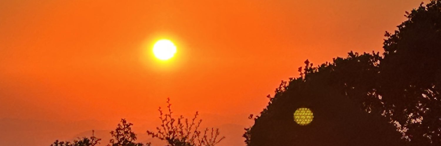 Phillip Rosaman banner