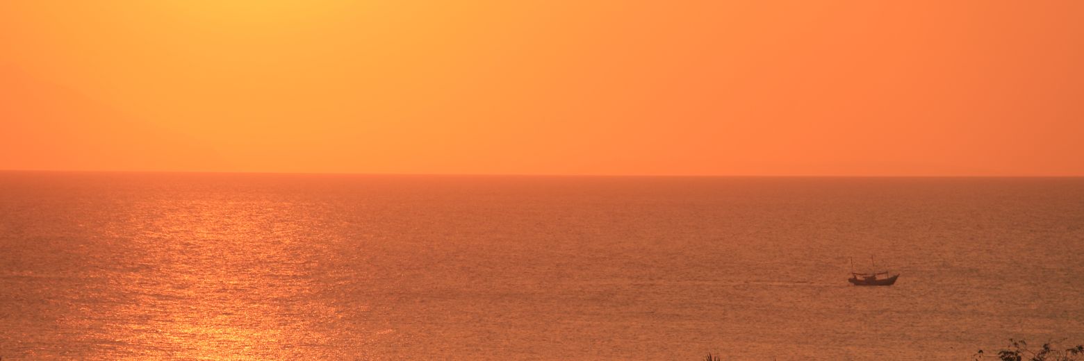 dandandoala's profile banner image