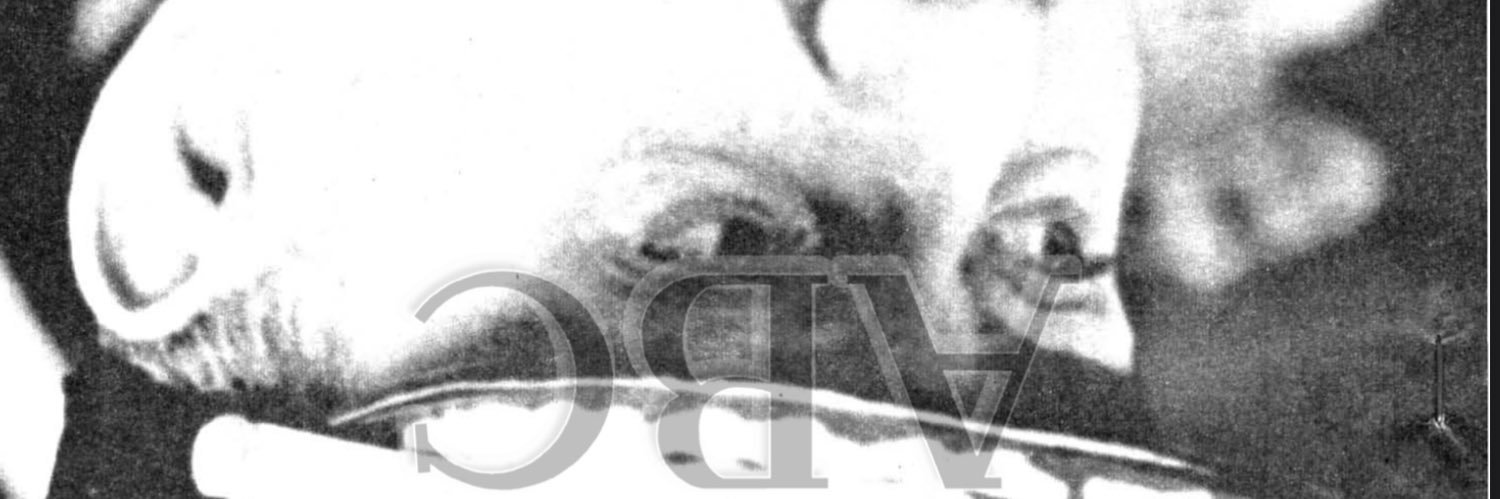 QVEF anarcofeudalismo banner