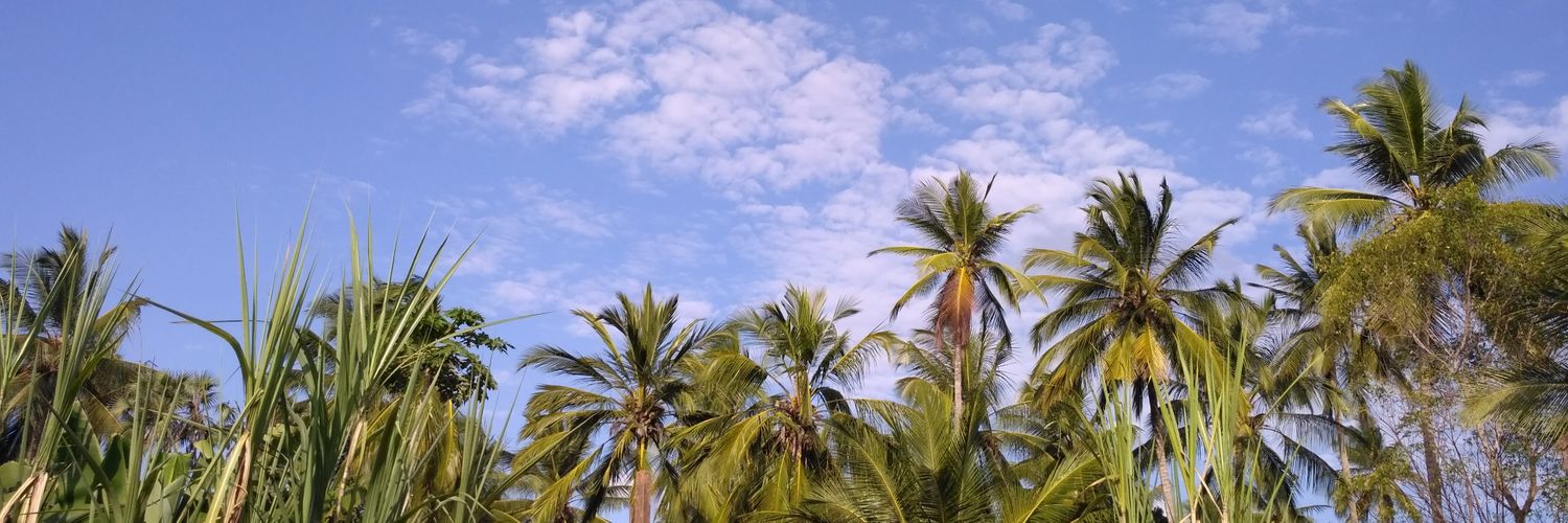 maitha486's profile banner image