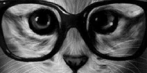 22262Soso's profile banner image