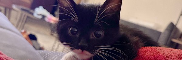 aleynailci1 Profile Banner