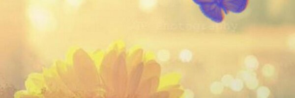 theablooms Profile Banner