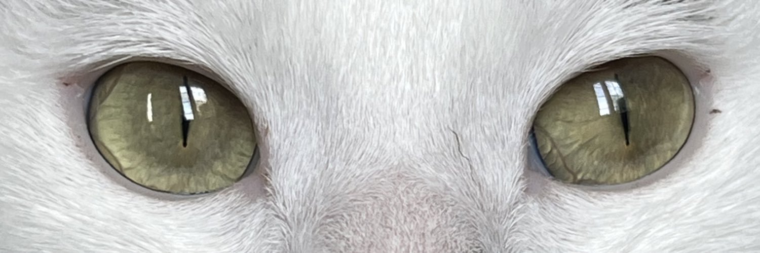 PunchWitch's profile banner image