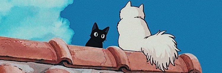 zoeleh's profile banner image