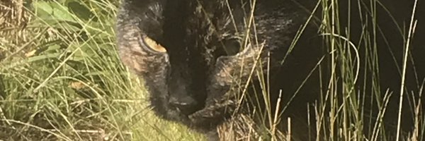 sand132507 Profile Banner