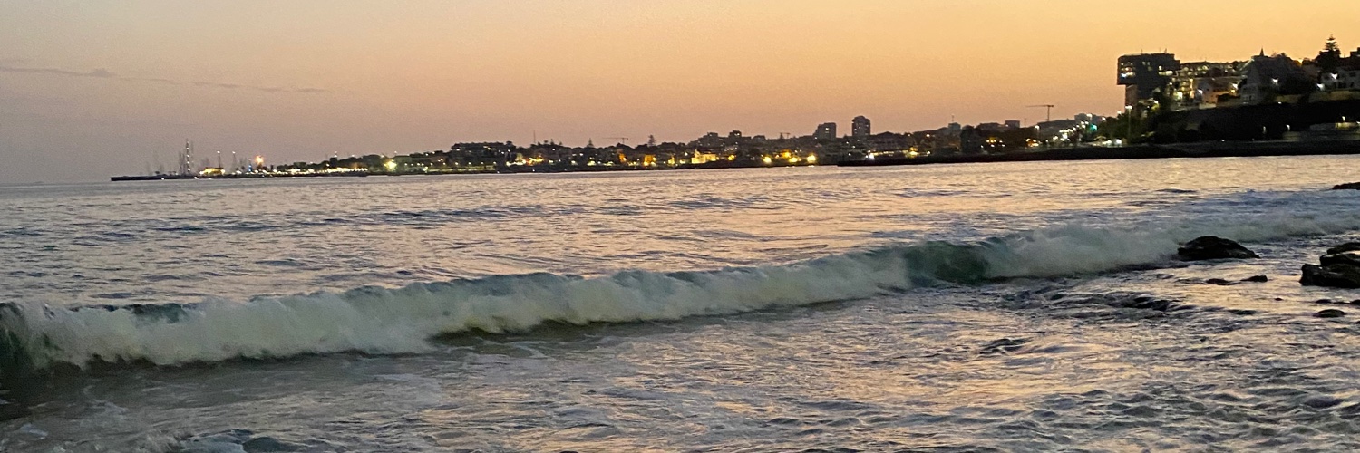 Larugirl's profile banner image