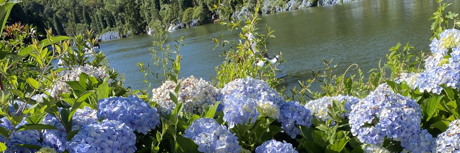Anajuli83176682's profile banner image