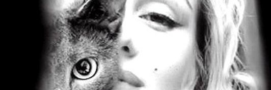 Redman_jf's profile banner image