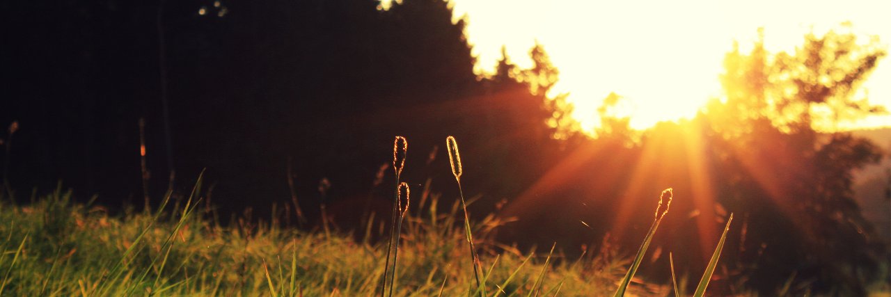 granger_ea's profile banner image