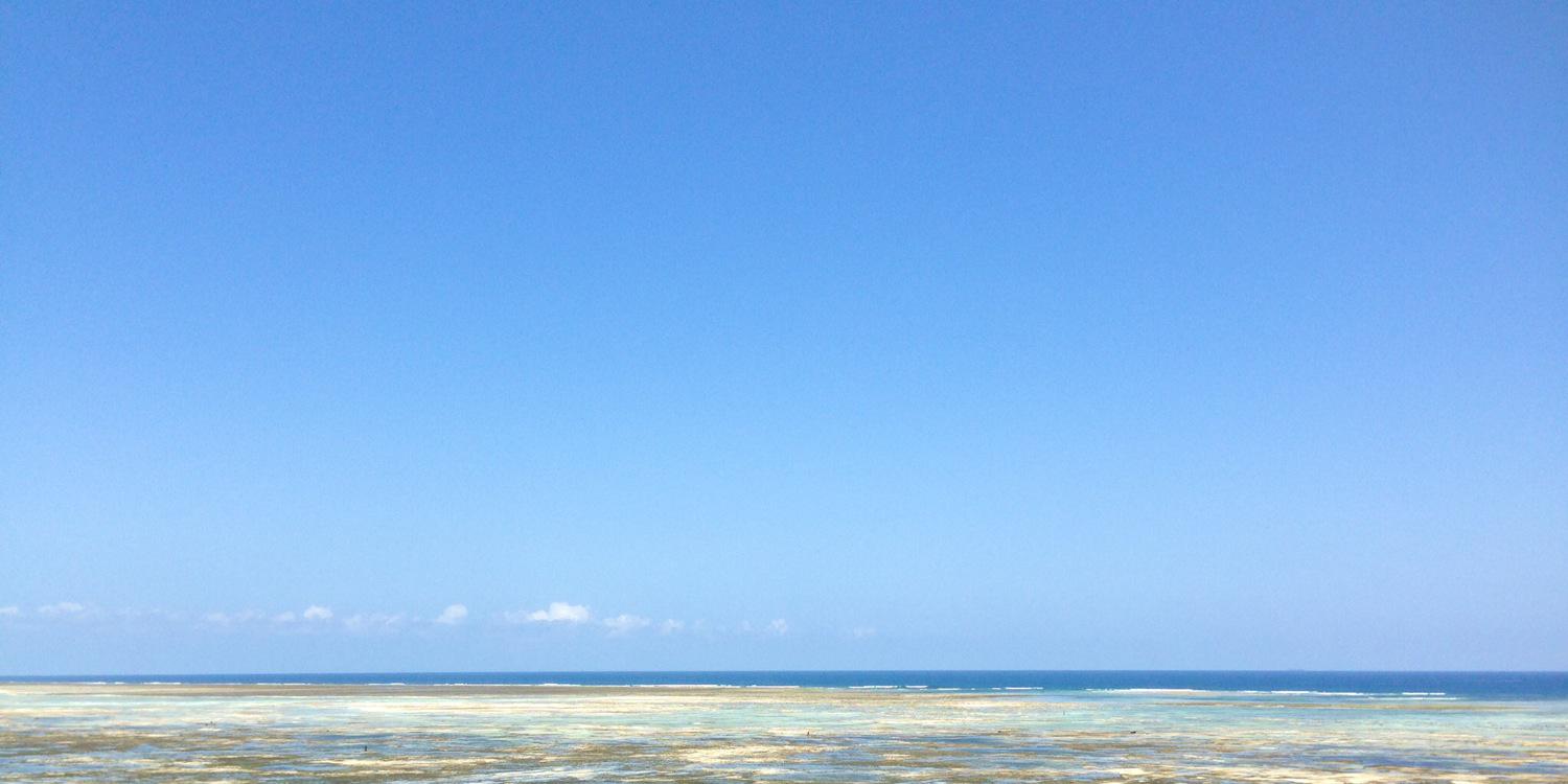 Tijarabeach's profile banner image
