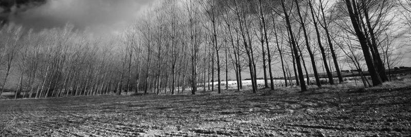 Carolvs II 🇦🇱 banner