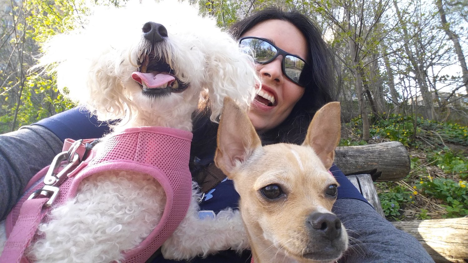 🛰️📡Francia Riesco 🇫🇷 banner