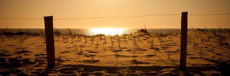 Leire Arribalzaga banner