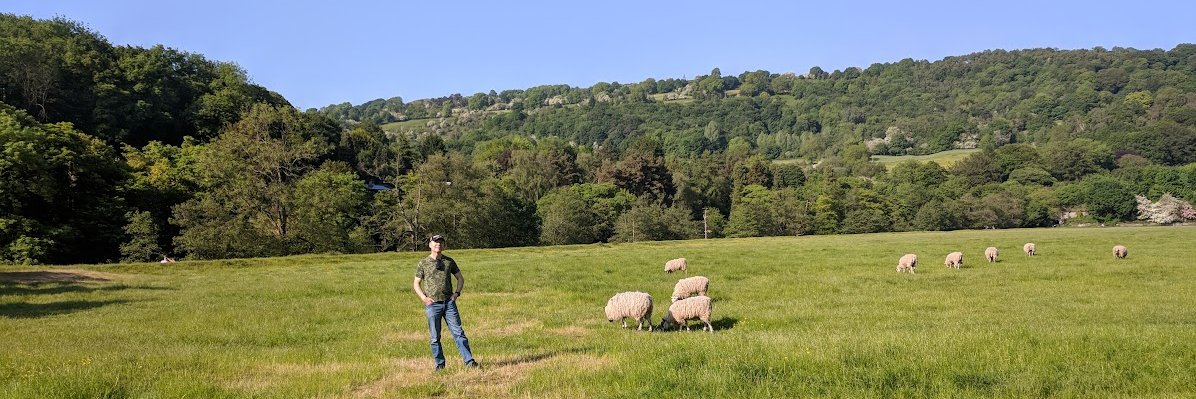 Stephen Weightman banner