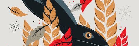 csillakt's profile banner image