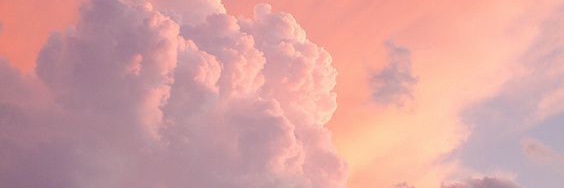Molly Annelle banner
