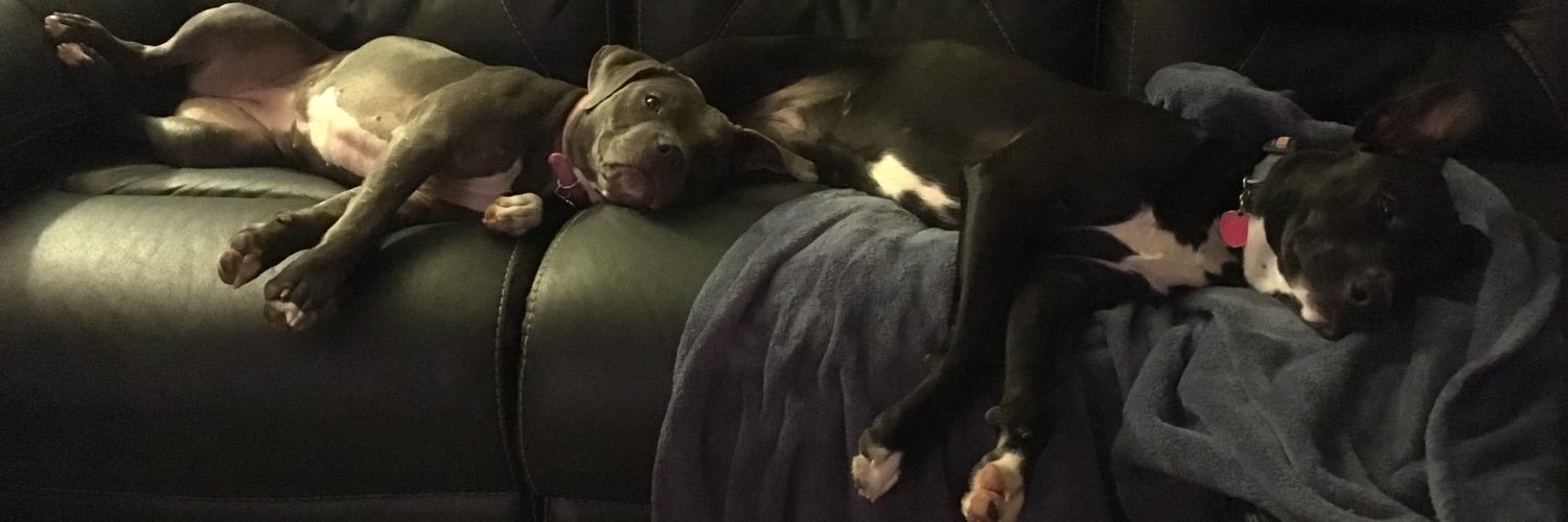 pibbleflicks's profile banner image