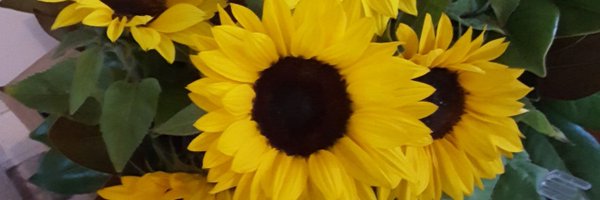 ramblingwitch Profile Banner