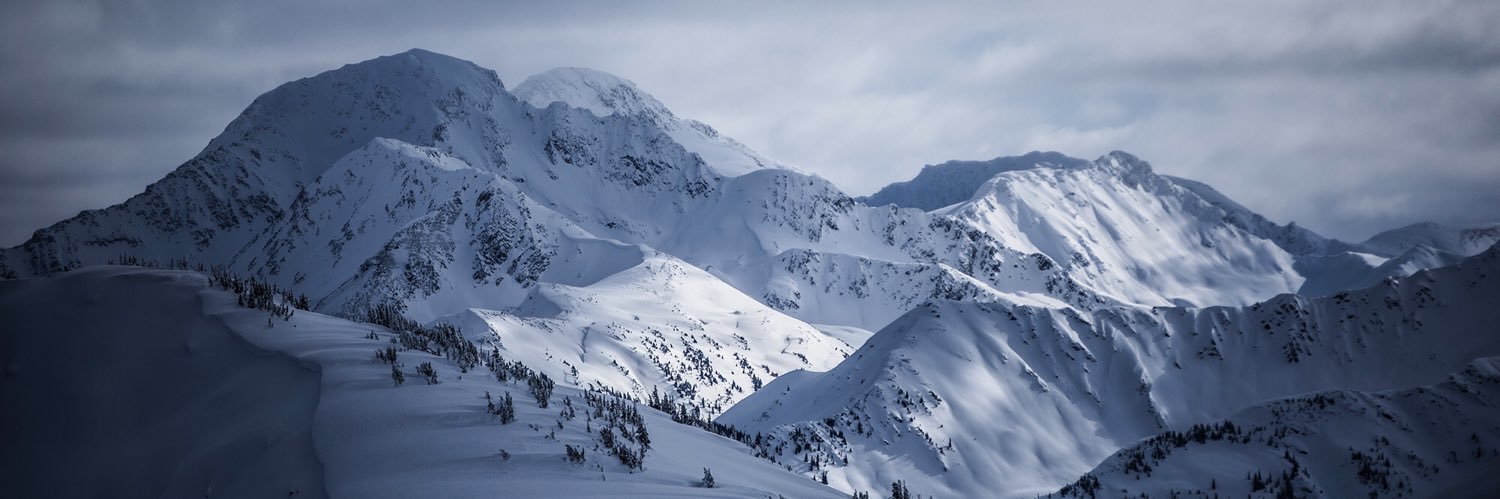 Randy Risling banner