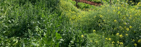 jacquelinedordt Profile Banner