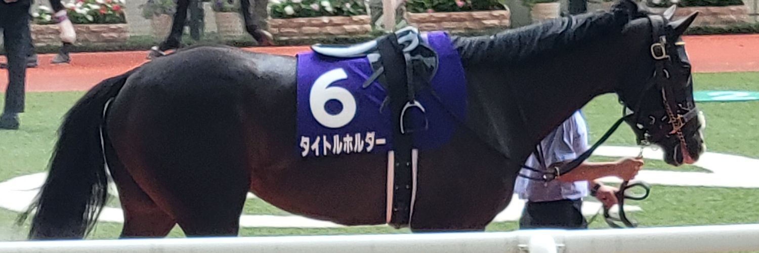 LUNA🐔 C106 1日目 西 お 20a's banner