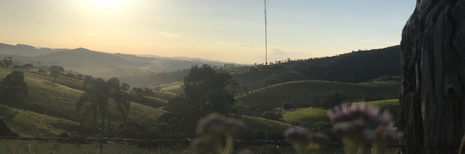Gabrielafdf's profile banner image