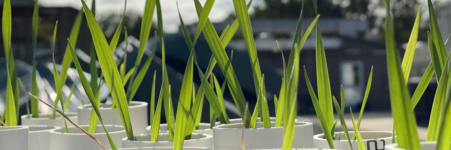 Andy Garcia 🌈🌾🍃 banner