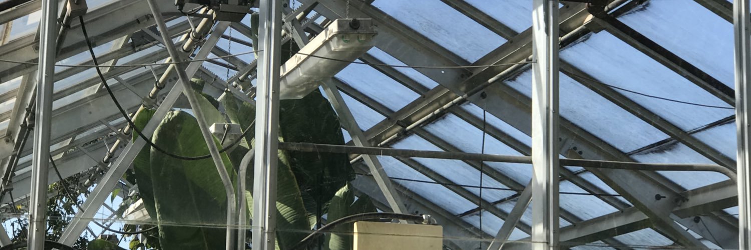 melbournerca's profile banner image