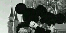 bruuna_mendonca's profile banner image