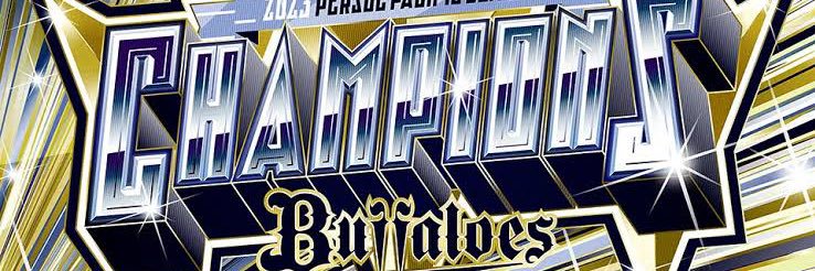 Buffaloes_L's profile banner image