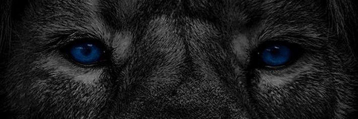 roa1641's profile banner image