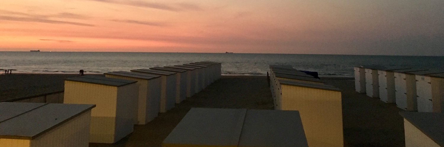 Cosyns Bernard banner