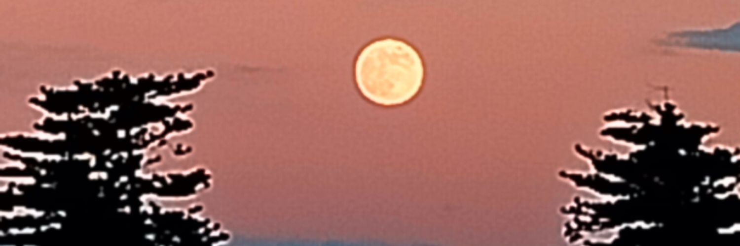 freca62's profile banner image