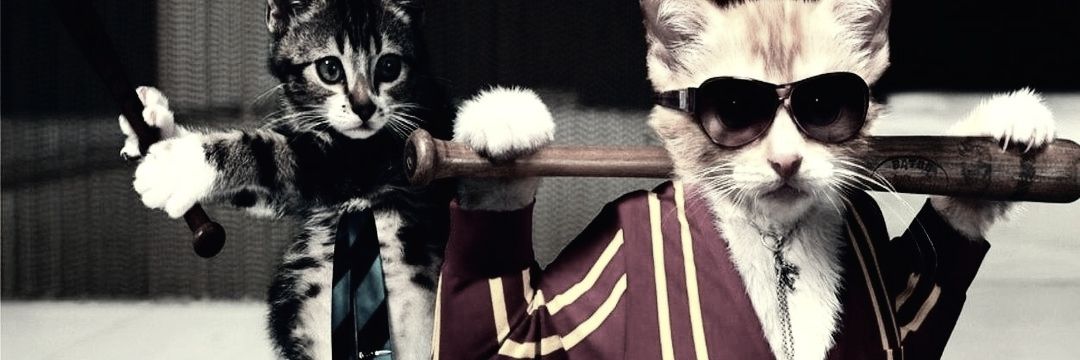 dikhaworld's profile banner image