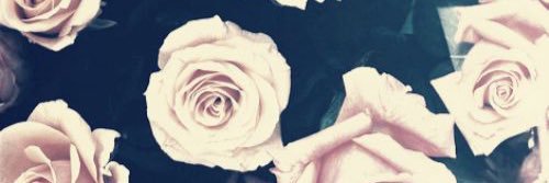 christieex's profile banner image